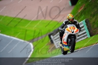 enduro-digital-images;event-digital-images;eventdigitalimages;no-limits-trackdays;oulton-no-limits-trackday;oulton-park-cheshire;oulton-trackday-photographs;peter-wileman-photography;racing-digital-images;trackday-digital-images;trackday-photos