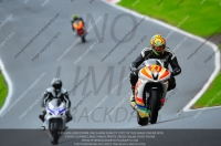 enduro-digital-images;event-digital-images;eventdigitalimages;no-limits-trackdays;oulton-no-limits-trackday;oulton-park-cheshire;oulton-trackday-photographs;peter-wileman-photography;racing-digital-images;trackday-digital-images;trackday-photos