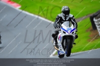 enduro-digital-images;event-digital-images;eventdigitalimages;no-limits-trackdays;oulton-no-limits-trackday;oulton-park-cheshire;oulton-trackday-photographs;peter-wileman-photography;racing-digital-images;trackday-digital-images;trackday-photos