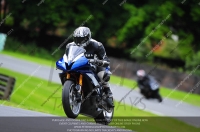 enduro-digital-images;event-digital-images;eventdigitalimages;no-limits-trackdays;oulton-no-limits-trackday;oulton-park-cheshire;oulton-trackday-photographs;peter-wileman-photography;racing-digital-images;trackday-digital-images;trackday-photos