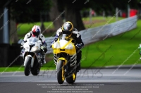 enduro-digital-images;event-digital-images;eventdigitalimages;no-limits-trackdays;oulton-no-limits-trackday;oulton-park-cheshire;oulton-trackday-photographs;peter-wileman-photography;racing-digital-images;trackday-digital-images;trackday-photos