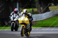 enduro-digital-images;event-digital-images;eventdigitalimages;no-limits-trackdays;oulton-no-limits-trackday;oulton-park-cheshire;oulton-trackday-photographs;peter-wileman-photography;racing-digital-images;trackday-digital-images;trackday-photos