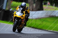 enduro-digital-images;event-digital-images;eventdigitalimages;no-limits-trackdays;oulton-no-limits-trackday;oulton-park-cheshire;oulton-trackday-photographs;peter-wileman-photography;racing-digital-images;trackday-digital-images;trackday-photos