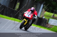 enduro-digital-images;event-digital-images;eventdigitalimages;no-limits-trackdays;oulton-no-limits-trackday;oulton-park-cheshire;oulton-trackday-photographs;peter-wileman-photography;racing-digital-images;trackday-digital-images;trackday-photos