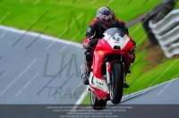 enduro-digital-images;event-digital-images;eventdigitalimages;no-limits-trackdays;oulton-no-limits-trackday;oulton-park-cheshire;oulton-trackday-photographs;peter-wileman-photography;racing-digital-images;trackday-digital-images;trackday-photos