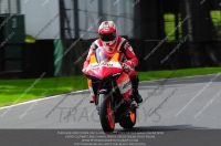 enduro-digital-images;event-digital-images;eventdigitalimages;no-limits-trackdays;oulton-no-limits-trackday;oulton-park-cheshire;oulton-trackday-photographs;peter-wileman-photography;racing-digital-images;trackday-digital-images;trackday-photos