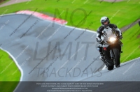 enduro-digital-images;event-digital-images;eventdigitalimages;no-limits-trackdays;oulton-no-limits-trackday;oulton-park-cheshire;oulton-trackday-photographs;peter-wileman-photography;racing-digital-images;trackday-digital-images;trackday-photos