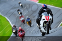 enduro-digital-images;event-digital-images;eventdigitalimages;no-limits-trackdays;oulton-no-limits-trackday;oulton-park-cheshire;oulton-trackday-photographs;peter-wileman-photography;racing-digital-images;trackday-digital-images;trackday-photos