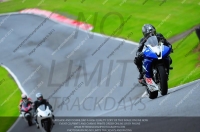 enduro-digital-images;event-digital-images;eventdigitalimages;no-limits-trackdays;oulton-no-limits-trackday;oulton-park-cheshire;oulton-trackday-photographs;peter-wileman-photography;racing-digital-images;trackday-digital-images;trackday-photos