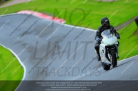 enduro-digital-images;event-digital-images;eventdigitalimages;no-limits-trackdays;oulton-no-limits-trackday;oulton-park-cheshire;oulton-trackday-photographs;peter-wileman-photography;racing-digital-images;trackday-digital-images;trackday-photos