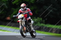 enduro-digital-images;event-digital-images;eventdigitalimages;no-limits-trackdays;oulton-no-limits-trackday;oulton-park-cheshire;oulton-trackday-photographs;peter-wileman-photography;racing-digital-images;trackday-digital-images;trackday-photos