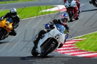 enduro-digital-images;event-digital-images;eventdigitalimages;no-limits-trackdays;oulton-no-limits-trackday;oulton-park-cheshire;oulton-trackday-photographs;peter-wileman-photography;racing-digital-images;trackday-digital-images;trackday-photos