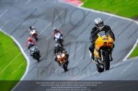 enduro-digital-images;event-digital-images;eventdigitalimages;no-limits-trackdays;oulton-no-limits-trackday;oulton-park-cheshire;oulton-trackday-photographs;peter-wileman-photography;racing-digital-images;trackday-digital-images;trackday-photos