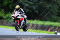 enduro-digital-images;event-digital-images;eventdigitalimages;no-limits-trackdays;oulton-no-limits-trackday;oulton-park-cheshire;oulton-trackday-photographs;peter-wileman-photography;racing-digital-images;trackday-digital-images;trackday-photos