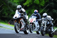 enduro-digital-images;event-digital-images;eventdigitalimages;no-limits-trackdays;oulton-no-limits-trackday;oulton-park-cheshire;oulton-trackday-photographs;peter-wileman-photography;racing-digital-images;trackday-digital-images;trackday-photos