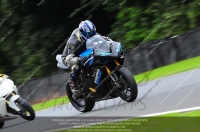 anglesey;brands-hatch;cadwell-park;croft;donington-park;enduro-digital-images;event-digital-images;eventdigitalimages;mallory;no-limits;oulton-park;peter-wileman-photography;racing-digital-images;silverstone;snetterton;trackday-digital-images;trackday-photos;vmcc-banbury-run;welsh-2-day-enduro