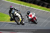 anglesey;brands-hatch;cadwell-park;croft;donington-park;enduro-digital-images;event-digital-images;eventdigitalimages;mallory;no-limits;oulton-park;peter-wileman-photography;racing-digital-images;silverstone;snetterton;trackday-digital-images;trackday-photos;vmcc-banbury-run;welsh-2-day-enduro