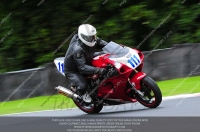 anglesey;brands-hatch;cadwell-park;croft;donington-park;enduro-digital-images;event-digital-images;eventdigitalimages;mallory;no-limits;oulton-park;peter-wileman-photography;racing-digital-images;silverstone;snetterton;trackday-digital-images;trackday-photos;vmcc-banbury-run;welsh-2-day-enduro