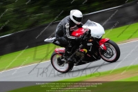 anglesey;brands-hatch;cadwell-park;croft;donington-park;enduro-digital-images;event-digital-images;eventdigitalimages;mallory;no-limits;oulton-park;peter-wileman-photography;racing-digital-images;silverstone;snetterton;trackday-digital-images;trackday-photos;vmcc-banbury-run;welsh-2-day-enduro