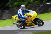 anglesey;brands-hatch;cadwell-park;croft;donington-park;enduro-digital-images;event-digital-images;eventdigitalimages;mallory;no-limits;oulton-park;peter-wileman-photography;racing-digital-images;silverstone;snetterton;trackday-digital-images;trackday-photos;vmcc-banbury-run;welsh-2-day-enduro