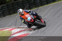 cadwell-no-limits-trackday;cadwell-park;cadwell-park-photographs;cadwell-trackday-photographs;enduro-digital-images;event-digital-images;eventdigitalimages;no-limits-trackdays;peter-wileman-photography;racing-digital-images;trackday-digital-images;trackday-photos