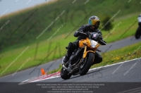 anglesey-photographs;bedford-no-limits-trackday;bedford-trackday-photographs;enduro-digital-images;event-digital-images;eventdigitalimages;no-limits-trackdays;peter-wileman-photography;racing-digital-images;trac-mon;trackday-digital-images;trackday-photos;ty-croes