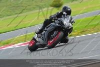 anglesey-photographs;bedford-no-limits-trackday;bedford-trackday-photographs;enduro-digital-images;event-digital-images;eventdigitalimages;no-limits-trackdays;peter-wileman-photography;racing-digital-images;trac-mon;trackday-digital-images;trackday-photos;ty-croes