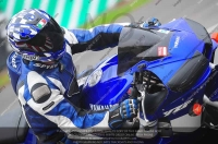 anglesey;brands-hatch;cadwell-park;croft;donington-park;enduro-digital-images;event-digital-images;eventdigitalimages;mallory;no-limits;oulton-park;peter-wileman-photography;racing-digital-images;silverstone;snetterton;trackday-digital-images;trackday-photos;vmcc-banbury-run;welsh-2-day-enduro