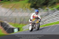 anglesey;brands-hatch;cadwell-park;croft;donington-park;enduro-digital-images;event-digital-images;eventdigitalimages;mallory;no-limits;oulton-park;peter-wileman-photography;racing-digital-images;silverstone;snetterton;trackday-digital-images;trackday-photos;vmcc-banbury-run;welsh-2-day-enduro