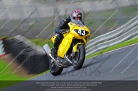 anglesey;brands-hatch;cadwell-park;croft;donington-park;enduro-digital-images;event-digital-images;eventdigitalimages;mallory;no-limits;oulton-park;peter-wileman-photography;racing-digital-images;silverstone;snetterton;trackday-digital-images;trackday-photos;vmcc-banbury-run;welsh-2-day-enduro