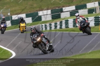 cadwell-no-limits-trackday;cadwell-park;cadwell-park-photographs;cadwell-trackday-photographs;enduro-digital-images;event-digital-images;eventdigitalimages;no-limits-trackdays;peter-wileman-photography;racing-digital-images;trackday-digital-images;trackday-photos