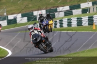 cadwell-no-limits-trackday;cadwell-park;cadwell-park-photographs;cadwell-trackday-photographs;enduro-digital-images;event-digital-images;eventdigitalimages;no-limits-trackdays;peter-wileman-photography;racing-digital-images;trackday-digital-images;trackday-photos