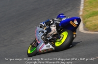 anglesey;brands-hatch;cadwell-park;croft;donington-park;enduro-digital-images;event-digital-images;eventdigitalimages;mallory;no-limits;oulton-park;peter-wileman-photography;racing-digital-images;silverstone;snetterton;trackday-digital-images;trackday-photos;vmcc-banbury-run;welsh-2-day-enduro