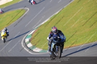 anglesey;brands-hatch;cadwell-park;croft;donington-park;enduro-digital-images;event-digital-images;eventdigitalimages;mallory;no-limits;oulton-park;peter-wileman-photography;racing-digital-images;silverstone;snetterton;trackday-digital-images;trackday-photos;vmcc-banbury-run;welsh-2-day-enduro