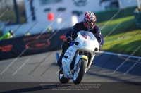 anglesey;brands-hatch;cadwell-park;croft;donington-park;enduro-digital-images;event-digital-images;eventdigitalimages;mallory;no-limits;oulton-park;peter-wileman-photography;racing-digital-images;silverstone;snetterton;trackday-digital-images;trackday-photos;vmcc-banbury-run;welsh-2-day-enduro