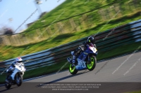 anglesey;brands-hatch;cadwell-park;croft;donington-park;enduro-digital-images;event-digital-images;eventdigitalimages;mallory;no-limits;oulton-park;peter-wileman-photography;racing-digital-images;silverstone;snetterton;trackday-digital-images;trackday-photos;vmcc-banbury-run;welsh-2-day-enduro