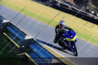 anglesey;brands-hatch;cadwell-park;croft;donington-park;enduro-digital-images;event-digital-images;eventdigitalimages;mallory;no-limits;oulton-park;peter-wileman-photography;racing-digital-images;silverstone;snetterton;trackday-digital-images;trackday-photos;vmcc-banbury-run;welsh-2-day-enduro