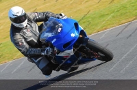 anglesey;brands-hatch;cadwell-park;croft;donington-park;enduro-digital-images;event-digital-images;eventdigitalimages;mallory;no-limits;oulton-park;peter-wileman-photography;racing-digital-images;silverstone;snetterton;trackday-digital-images;trackday-photos;vmcc-banbury-run;welsh-2-day-enduro