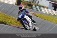 anglesey;brands-hatch;cadwell-park;croft;donington-park;enduro-digital-images;event-digital-images;eventdigitalimages;mallory;no-limits;oulton-park;peter-wileman-photography;racing-digital-images;silverstone;snetterton;trackday-digital-images;trackday-photos;vmcc-banbury-run;welsh-2-day-enduro