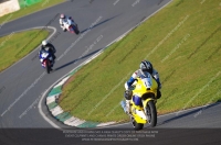 anglesey;brands-hatch;cadwell-park;croft;donington-park;enduro-digital-images;event-digital-images;eventdigitalimages;mallory;no-limits;oulton-park;peter-wileman-photography;racing-digital-images;silverstone;snetterton;trackday-digital-images;trackday-photos;vmcc-banbury-run;welsh-2-day-enduro