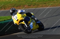 anglesey;brands-hatch;cadwell-park;croft;donington-park;enduro-digital-images;event-digital-images;eventdigitalimages;mallory;no-limits;oulton-park;peter-wileman-photography;racing-digital-images;silverstone;snetterton;trackday-digital-images;trackday-photos;vmcc-banbury-run;welsh-2-day-enduro