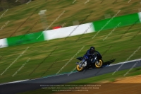 anglesey;brands-hatch;cadwell-park;croft;donington-park;enduro-digital-images;event-digital-images;eventdigitalimages;mallory;no-limits;oulton-park;peter-wileman-photography;racing-digital-images;silverstone;snetterton;trackday-digital-images;trackday-photos;vmcc-banbury-run;welsh-2-day-enduro