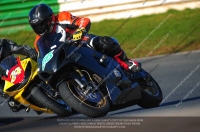 anglesey;brands-hatch;cadwell-park;croft;donington-park;enduro-digital-images;event-digital-images;eventdigitalimages;mallory;no-limits;oulton-park;peter-wileman-photography;racing-digital-images;silverstone;snetterton;trackday-digital-images;trackday-photos;vmcc-banbury-run;welsh-2-day-enduro