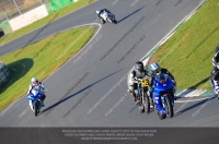 anglesey;brands-hatch;cadwell-park;croft;donington-park;enduro-digital-images;event-digital-images;eventdigitalimages;mallory;no-limits;oulton-park;peter-wileman-photography;racing-digital-images;silverstone;snetterton;trackday-digital-images;trackday-photos;vmcc-banbury-run;welsh-2-day-enduro