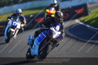 anglesey;brands-hatch;cadwell-park;croft;donington-park;enduro-digital-images;event-digital-images;eventdigitalimages;mallory;no-limits;oulton-park;peter-wileman-photography;racing-digital-images;silverstone;snetterton;trackday-digital-images;trackday-photos;vmcc-banbury-run;welsh-2-day-enduro