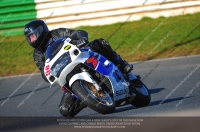 anglesey;brands-hatch;cadwell-park;croft;donington-park;enduro-digital-images;event-digital-images;eventdigitalimages;mallory;no-limits;oulton-park;peter-wileman-photography;racing-digital-images;silverstone;snetterton;trackday-digital-images;trackday-photos;vmcc-banbury-run;welsh-2-day-enduro