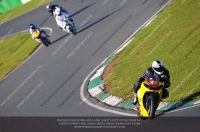 anglesey;brands-hatch;cadwell-park;croft;donington-park;enduro-digital-images;event-digital-images;eventdigitalimages;mallory;no-limits;oulton-park;peter-wileman-photography;racing-digital-images;silverstone;snetterton;trackday-digital-images;trackday-photos;vmcc-banbury-run;welsh-2-day-enduro