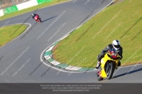 anglesey;brands-hatch;cadwell-park;croft;donington-park;enduro-digital-images;event-digital-images;eventdigitalimages;mallory;no-limits;oulton-park;peter-wileman-photography;racing-digital-images;silverstone;snetterton;trackday-digital-images;trackday-photos;vmcc-banbury-run;welsh-2-day-enduro