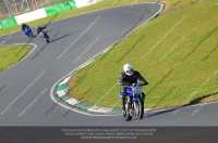 anglesey;brands-hatch;cadwell-park;croft;donington-park;enduro-digital-images;event-digital-images;eventdigitalimages;mallory;no-limits;oulton-park;peter-wileman-photography;racing-digital-images;silverstone;snetterton;trackday-digital-images;trackday-photos;vmcc-banbury-run;welsh-2-day-enduro