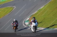 anglesey;brands-hatch;cadwell-park;croft;donington-park;enduro-digital-images;event-digital-images;eventdigitalimages;mallory;no-limits;oulton-park;peter-wileman-photography;racing-digital-images;silverstone;snetterton;trackday-digital-images;trackday-photos;vmcc-banbury-run;welsh-2-day-enduro